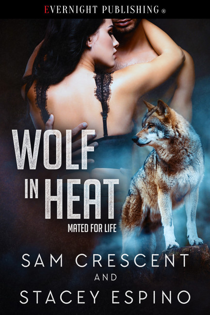 Genre: Erotic Paranormal Romance
Heat Level: 3
Word Count: 37, 550
ISBN: 978-0-3695-0425-8
Editor: Audrey Bobak
Cover Artist: Jay Aheer