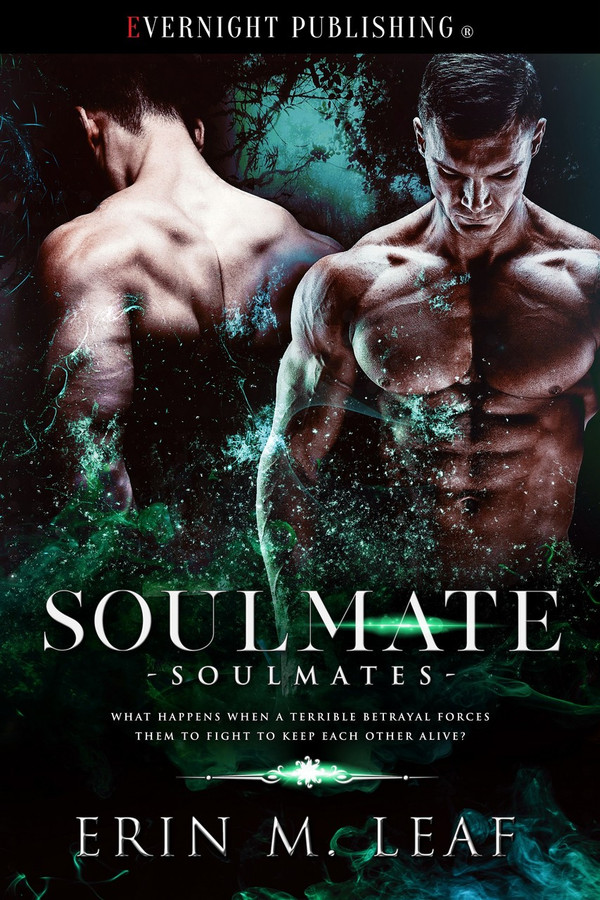 Soulmate by Erin M. Leaf - Evernight Publishing