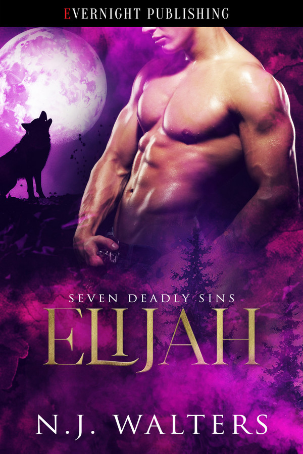 Genre: Erotic Paranormal Romance

Heat Level: 3

Word Count: 85, 000

ISBN: 978-0-3695-1346-5

Editor: Lisa Petrocelli

Cover Artist: Jay Aheer