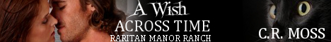 awishacrosstimebanner-1-.jpg