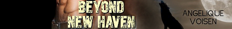 beyondnewhavenbanner.jpg