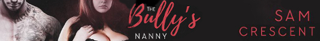 bullysnannybanner.jpg