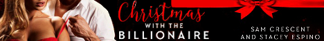 christmasbillionairebanner.jpg