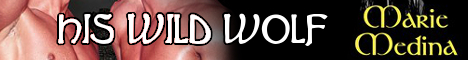 hiswildwolfbanner-2-.jpg