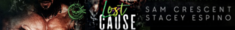 lostcausebanner.jpg