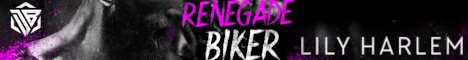 renegadebikerbanner.jpg