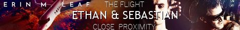 theflightbanner.jpg