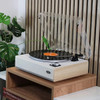 ELTAX Spinster all-in-one Turntable with Bluetooth 50W RMS x 2