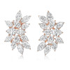 Cassandra Large Pear & Marquise Cluster CZ Earrings