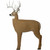 GlenDel Targets 3D Buck Archery Target 56" Tall [FC-702649710004]