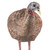 Avian X LCD Breeder Hen Turkey Decoy [FC-810280080087]