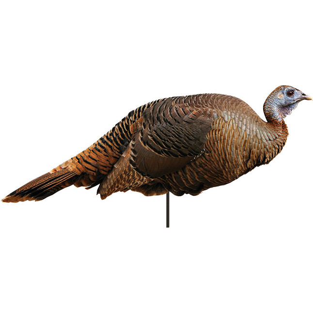 Montana Decoy Co Spring Fling Turkey Hen Decoy [FC-851234000423]