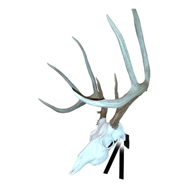 Mountain Mike's Positioner Deer Skull Wall Mount [FC-094922363787]