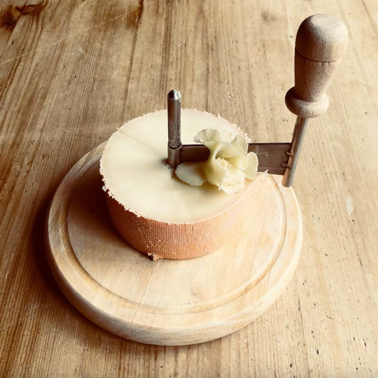 Head of cheese Tete de moine on Girolle isolated on white background Stock  Photo - Alamy