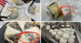 Understanding Surface Mould