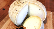 Say Hello to our newest arrival, Mont Diavolo