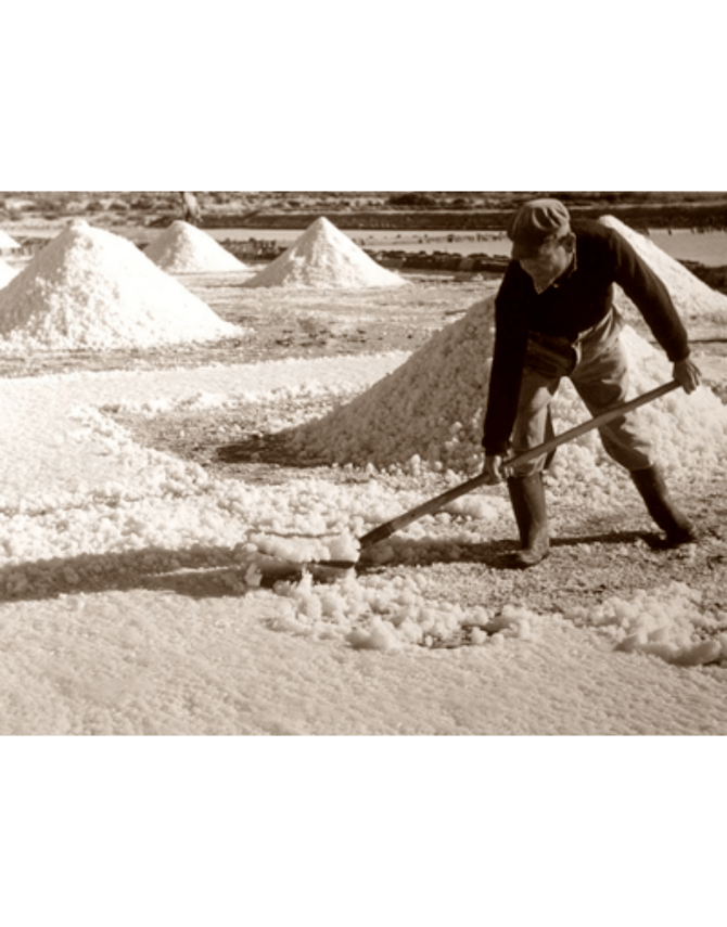 Camargue Fleur de Sel