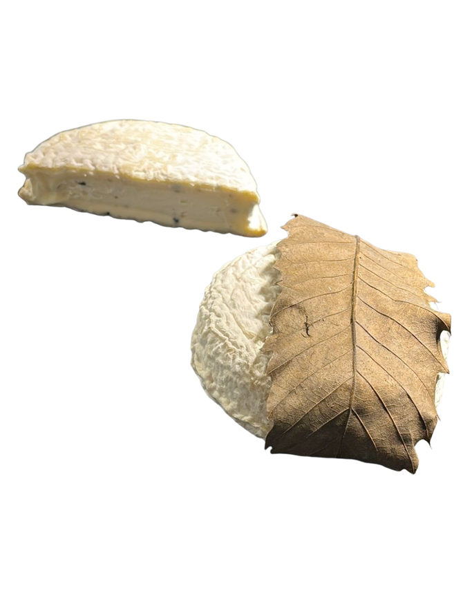 Saint Jeanvrin à la Truffe