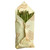 A Bee's Wrap honeycomb print single large wrap for wrapping asparagus.