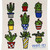 The Wet-It Cactus Pots Swedish cloth designed with different types of cactus in pots