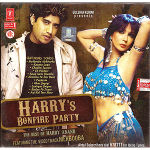 Harry's Bonfire Party