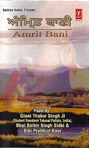 Music Card Amrit Bani Giani Thakur Singh Ji (USB) 