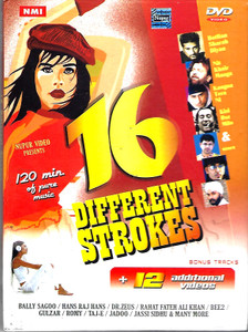 16 Different Strokes  ( Bonus Tracks )+12 Additional Videos
