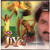 Jiye Jaa Kumar Sanu Hindi Pop Songs 