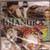 Bhangra War Zone 3