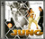Jung / CD 2000 / 2 CD SET