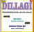 Dillagi 