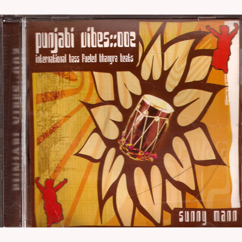 PUNJABI VIBES 002- SUNNY MANN