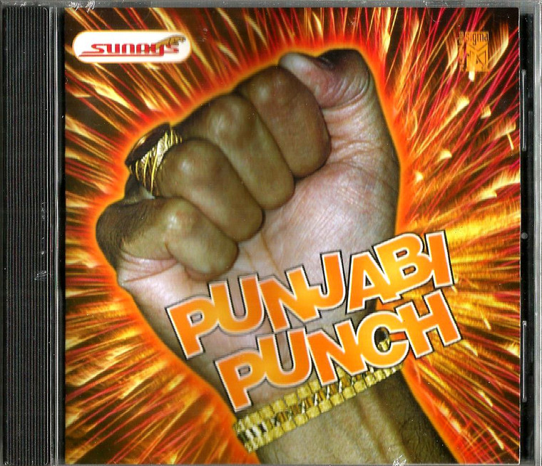 Punjabi Punch / Remix