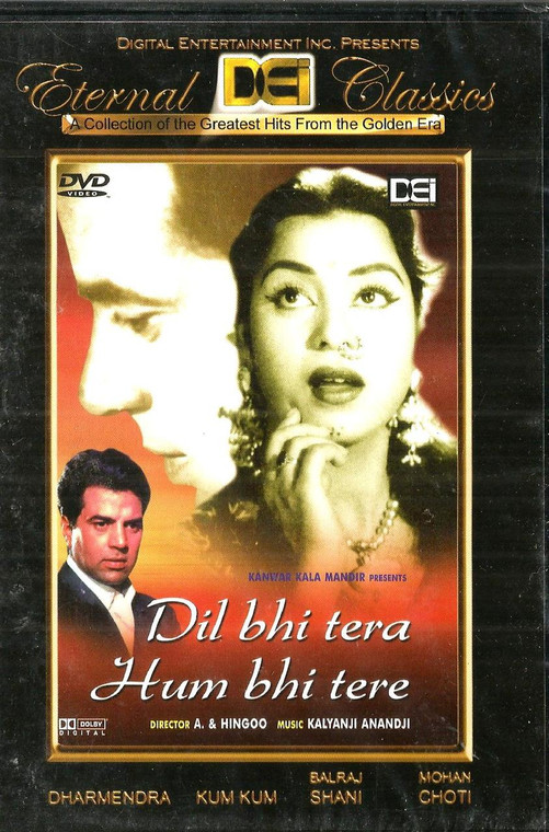 Dil Bhi Tera Hum Bhi Tere  / DEI