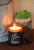 White Christmas Soy Wax Candles - 10oz Candle with Lid