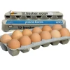 Pace Farm Fresher Eggs 600g 1 Dozen