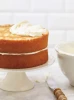 Naked Un-Iced Round Vanilla Cake 9 Inch foodservice product