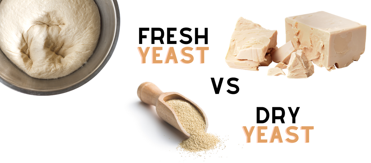 Fresh Yeast vs Dry Yeast - Padstow Food Service Distributors