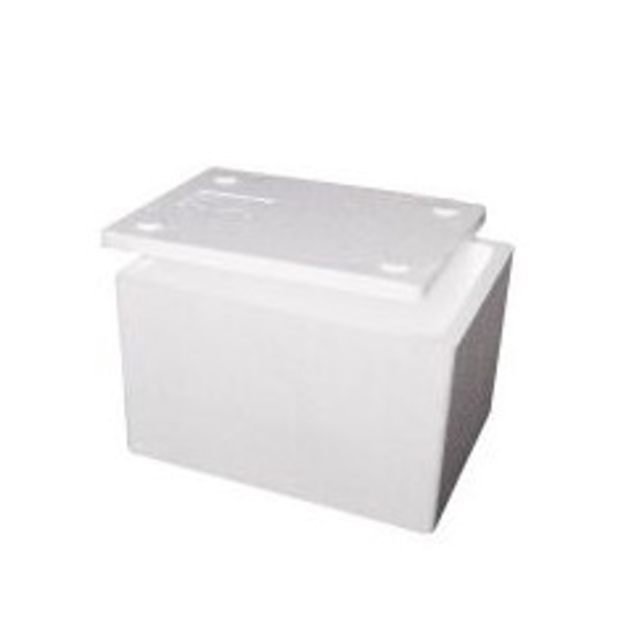 Medium Foam Esky Box + Lid - Padstow 