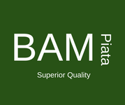 BAM