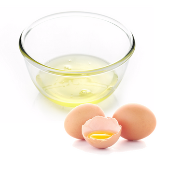 FRESH BULK EGG WHITE