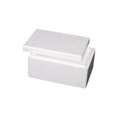 Extra Small Foam Esky Box + Lid