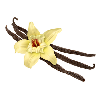 Vanilla Bean Pods