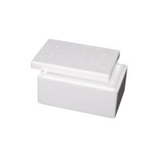 Small Foam Esky Box + Lid