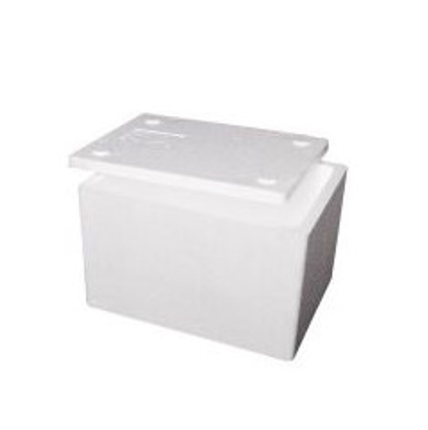 Medium Foam Esky Box + Lid