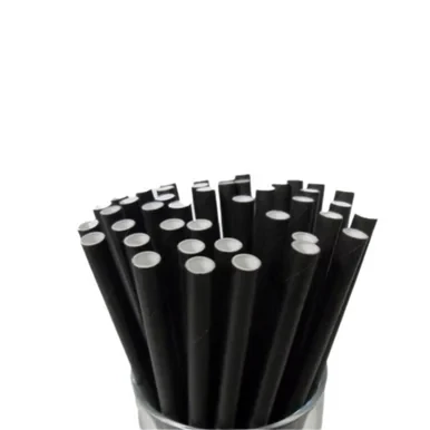 Jumbo Paper Biostraws 100 Pack