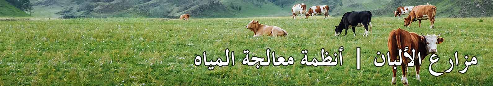 arabic-dairy-water-banner.jpg