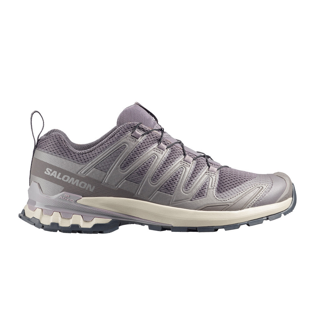 Salomon XA Pro 3D V9 Men's Trail Running Shoes | Dark Gull Grey/Cloudburst/Asphalt