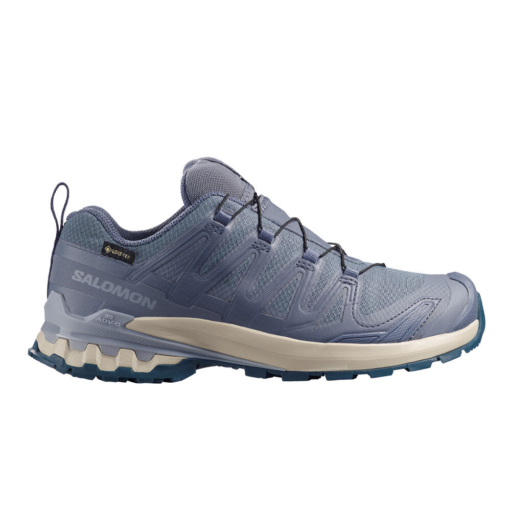 Salomon XA Pro 3D v9 GORE-TEX Women's Trail Running Shoes | Grisaille/Tradewinds/Spellbound