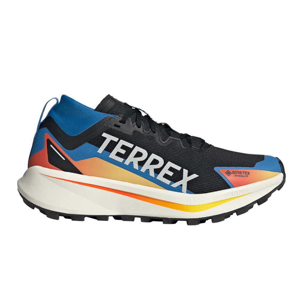 adidas Terrex Agravic GORE-TEX Men's Trail Running Shoes | Core Black/Cloud White/Ray Blue